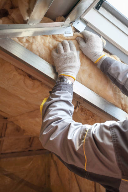 Best Insulation Repair Services  in Mount Ida, AR