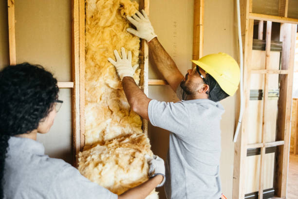 Best Soundproof Insulation Installation  in Mount Ida, AR
