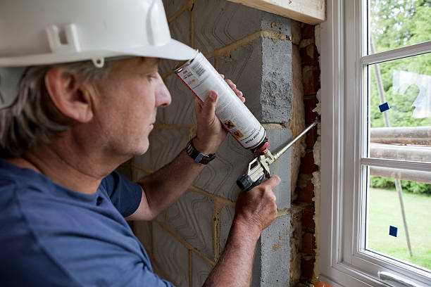Best Insulation for New Construction  in Mount Ida, AR