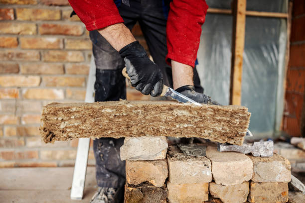 Best Insulation for Commercial Buildings  in Mount Ida, AR