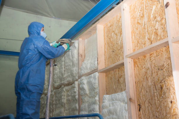 Best Attic Insulation Installation  in Mount Ida, AR