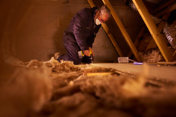 Best Home Insulation Services  in Mount Ida, AR